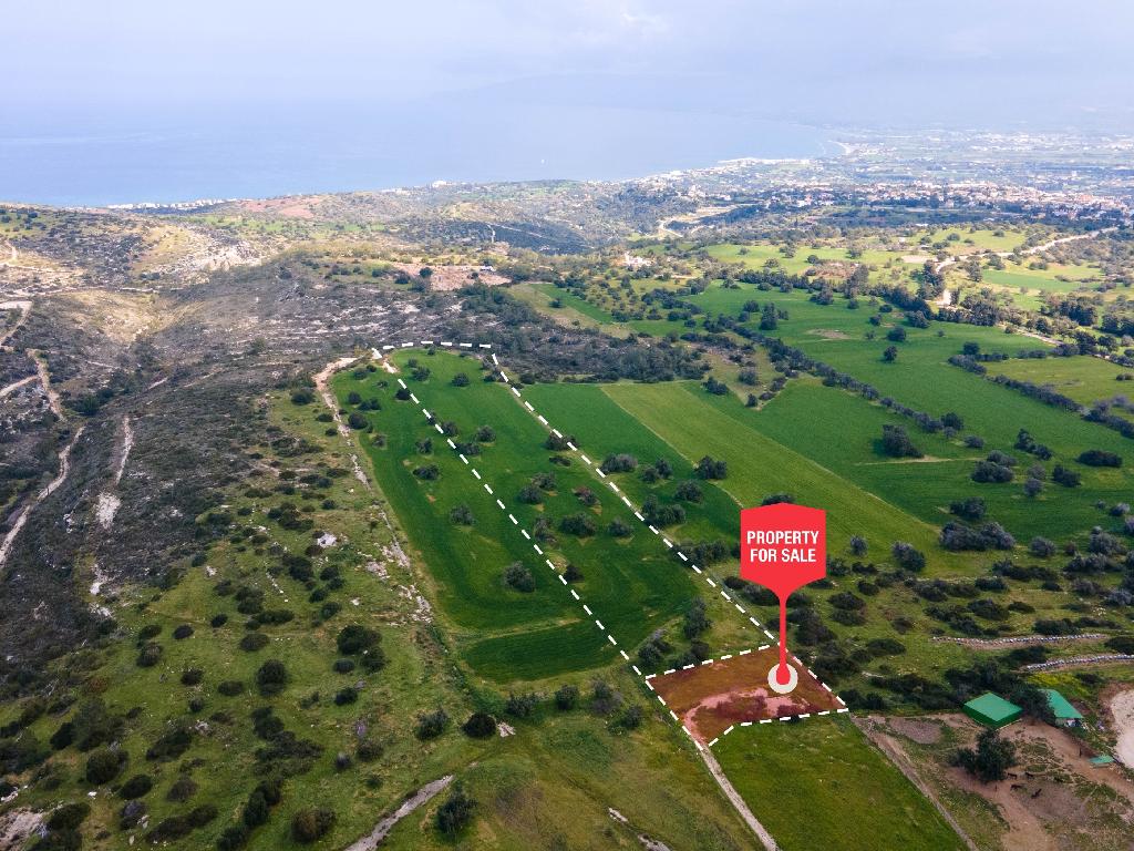 Field (Share) - Neo Chorio, Paphos