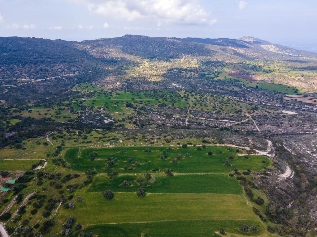 Field (Share) - Neo Chorio, Paphos