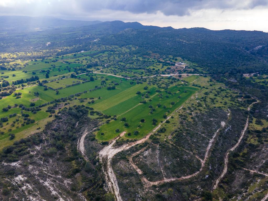 Field (Share) - Neo Chorio, Paphos