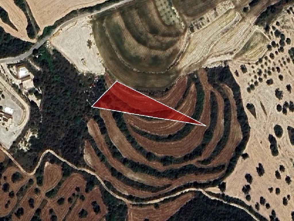 Field-Kritou Terra-PR39272
