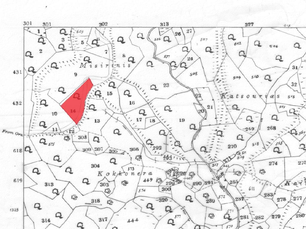 Field-Ora-PR39774