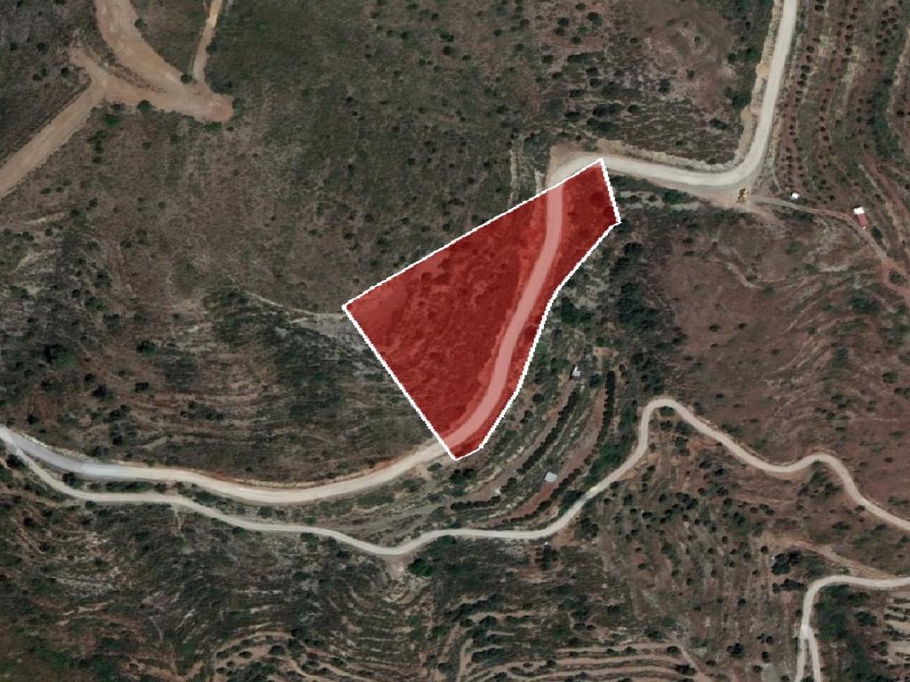 Field-Ora-PR39774