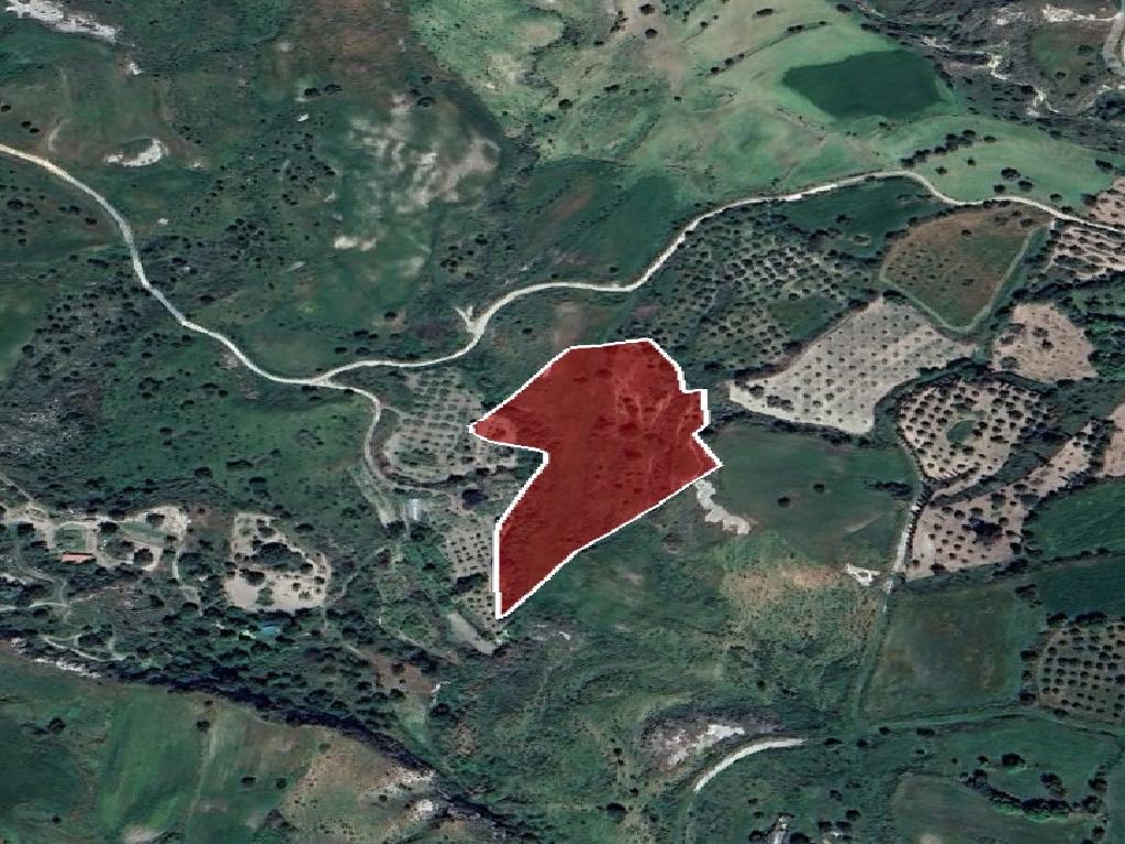 Field (Share) - Lasa, Paphos