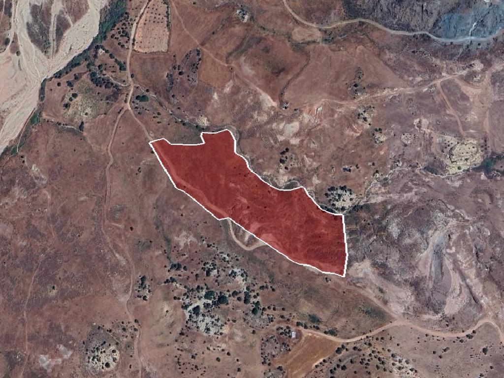Field-Choletria-PR41140