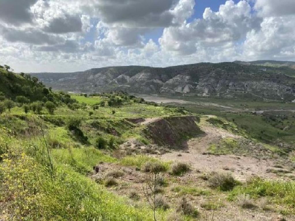 Field-Choletria-PR41140
