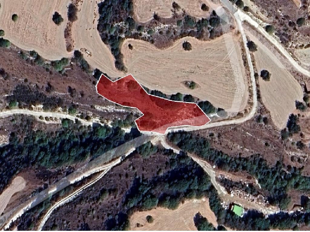 Field-Simou-PR41492