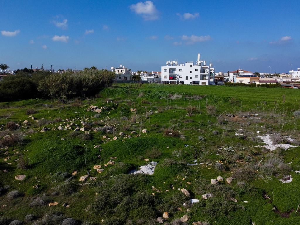 Field-Paralimni-PR41654