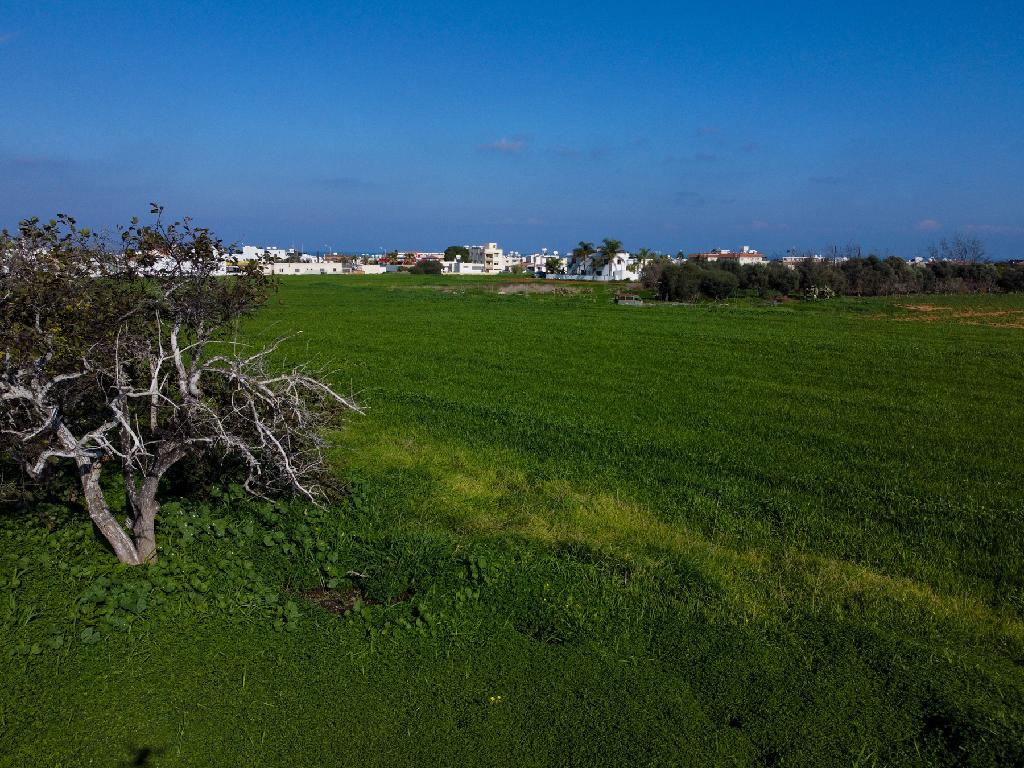 Field-Paralimni-PR41654