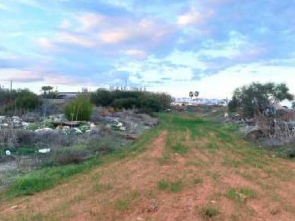 Field-Paralimni-PR41654