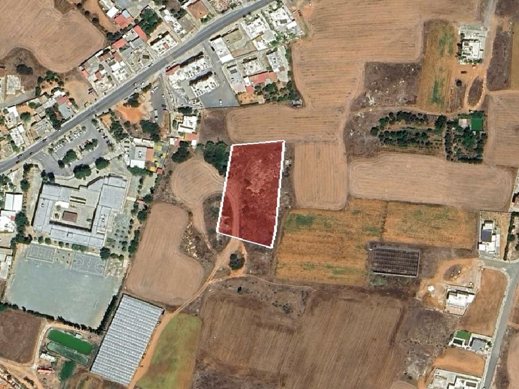 Field-Paralimni-PR41654