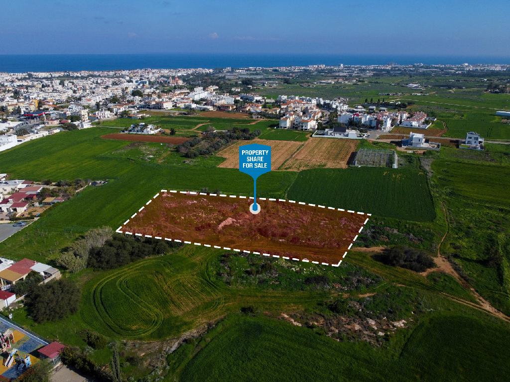Field-Paralimni-PR41654