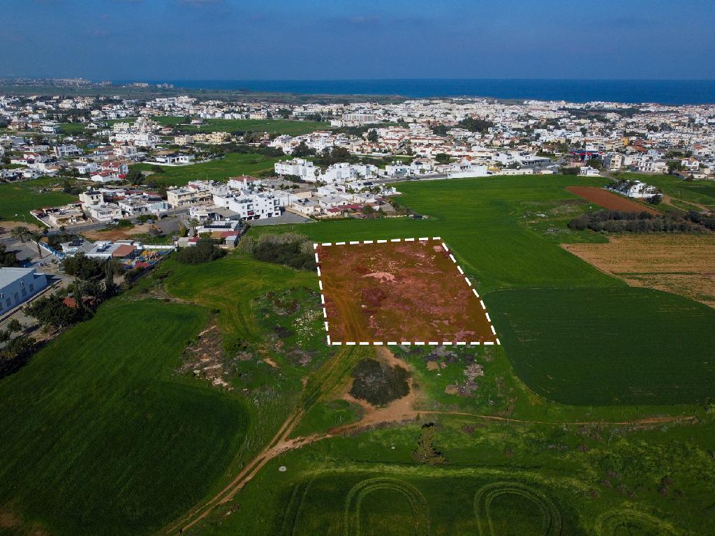 Field-Paralimni-PR41654