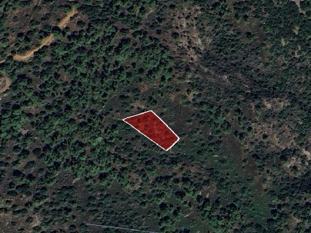 Field-Vavatsinia-PR41745