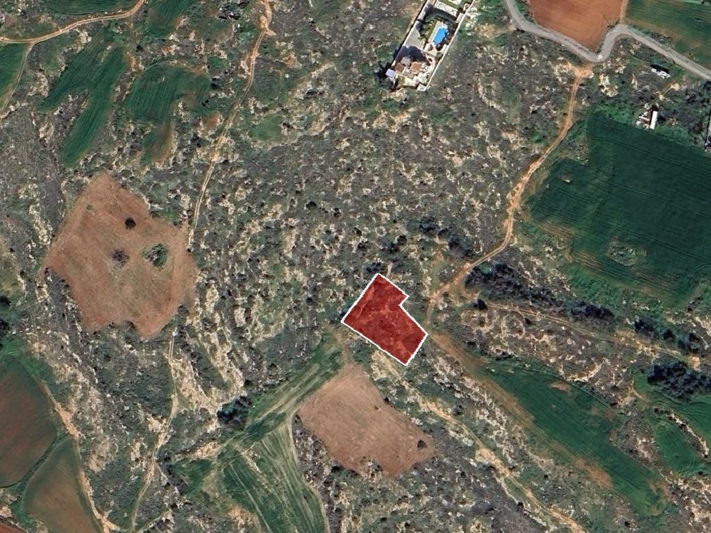 Field-Paralimni-PR42429