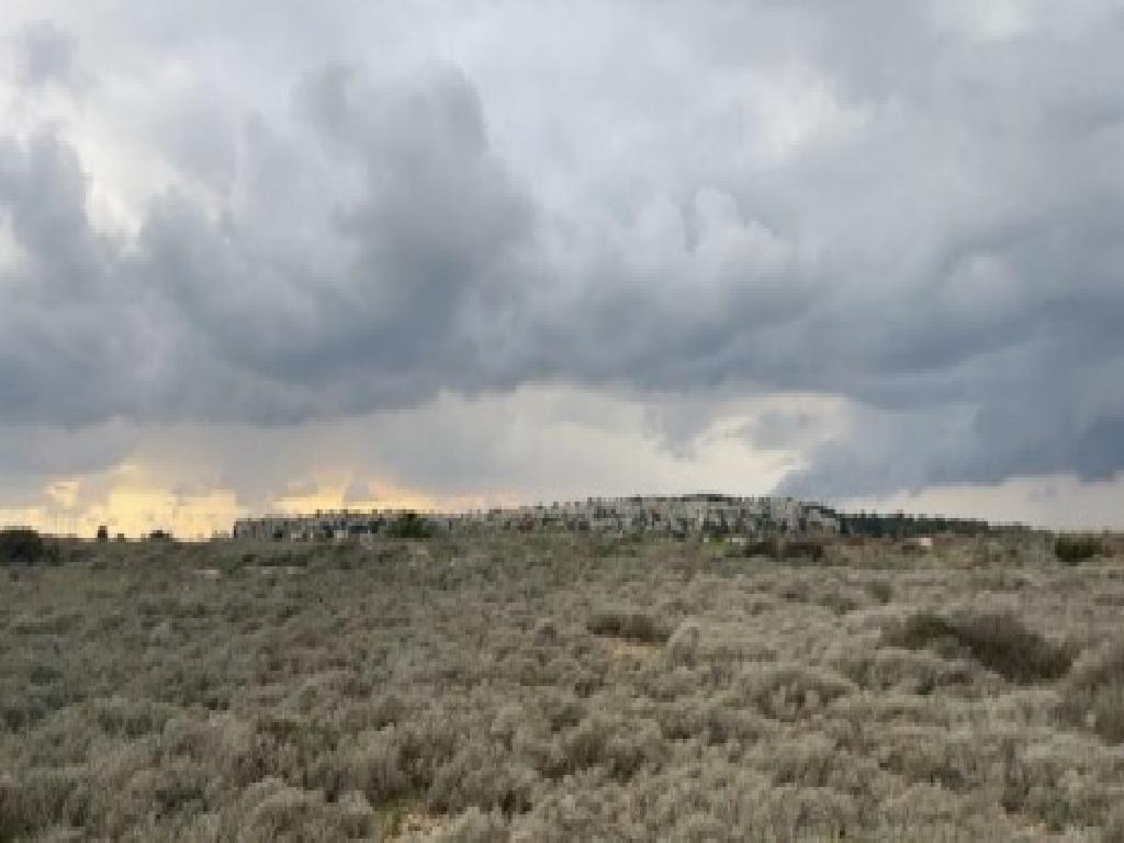 Field-Paralimni-PR42429