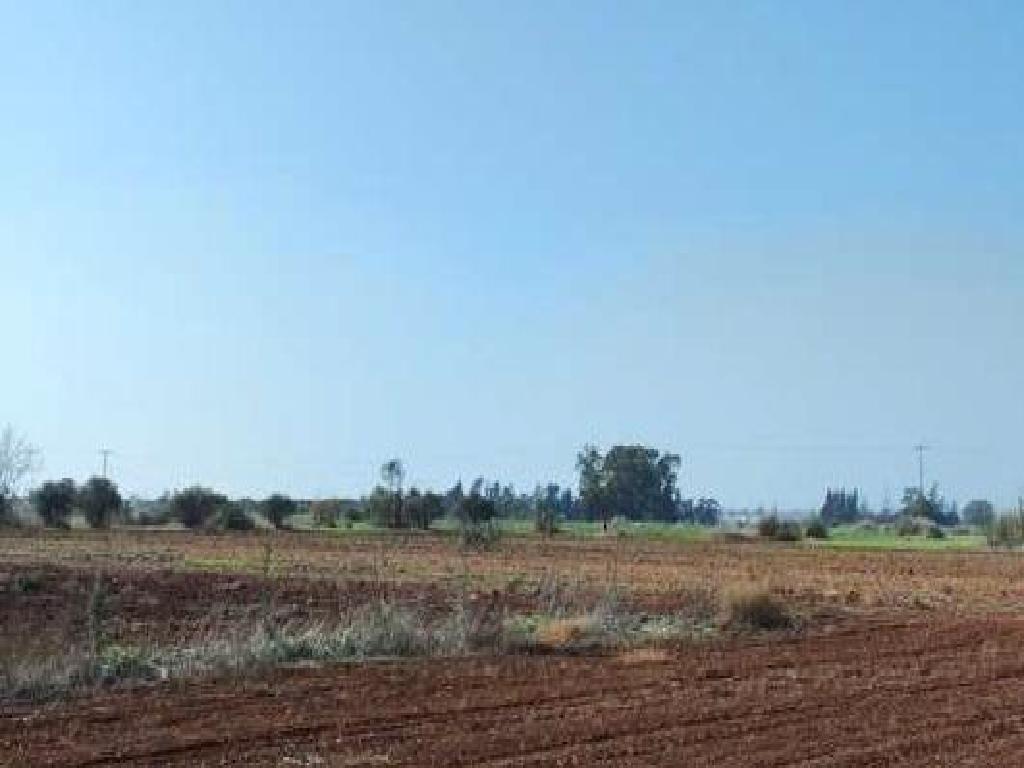 Field-Avgorou-PR42510