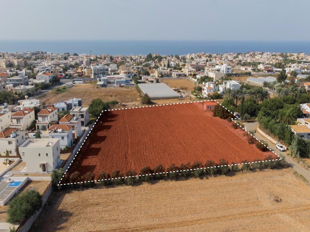 Field - Empa, Paphos