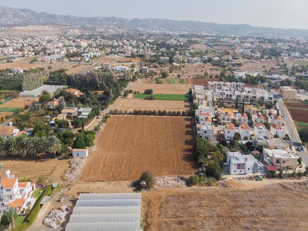 Field - Empa, Paphos