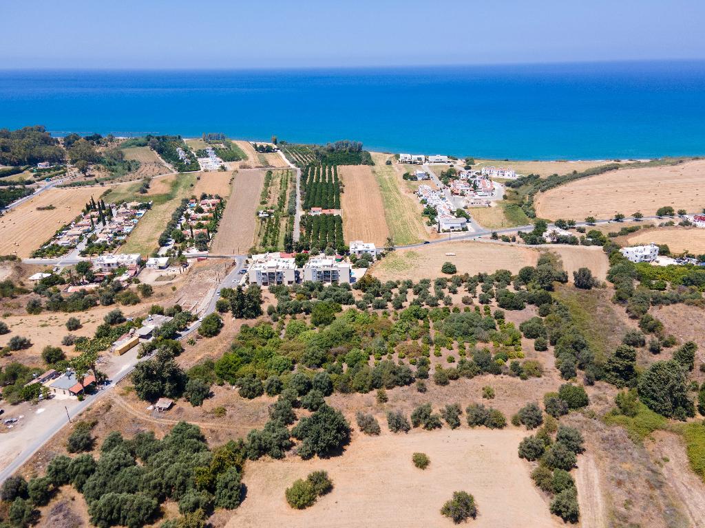 Field - Polis Chrysochous, Paphos