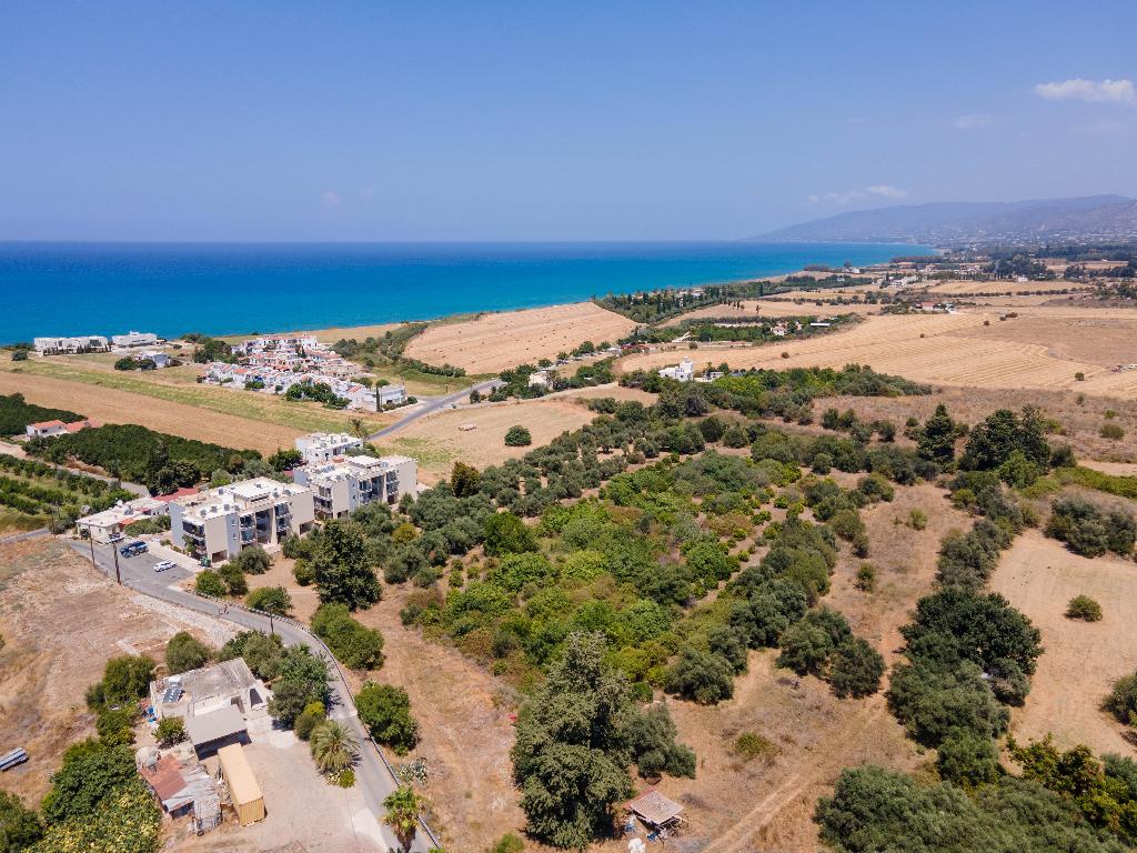 Field - Polis Chrysochous, Paphos