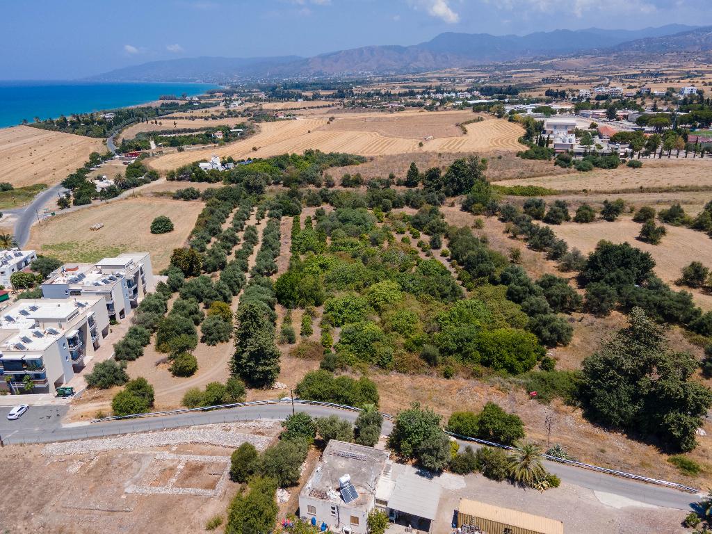 Field - Polis Chrysochous, Paphos