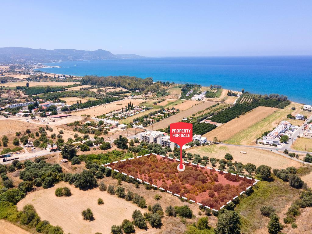 Field - Polis Chrysochous, Paphos
