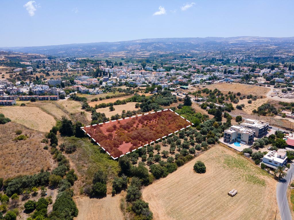 Field - Polis Chrysochous, Paphos