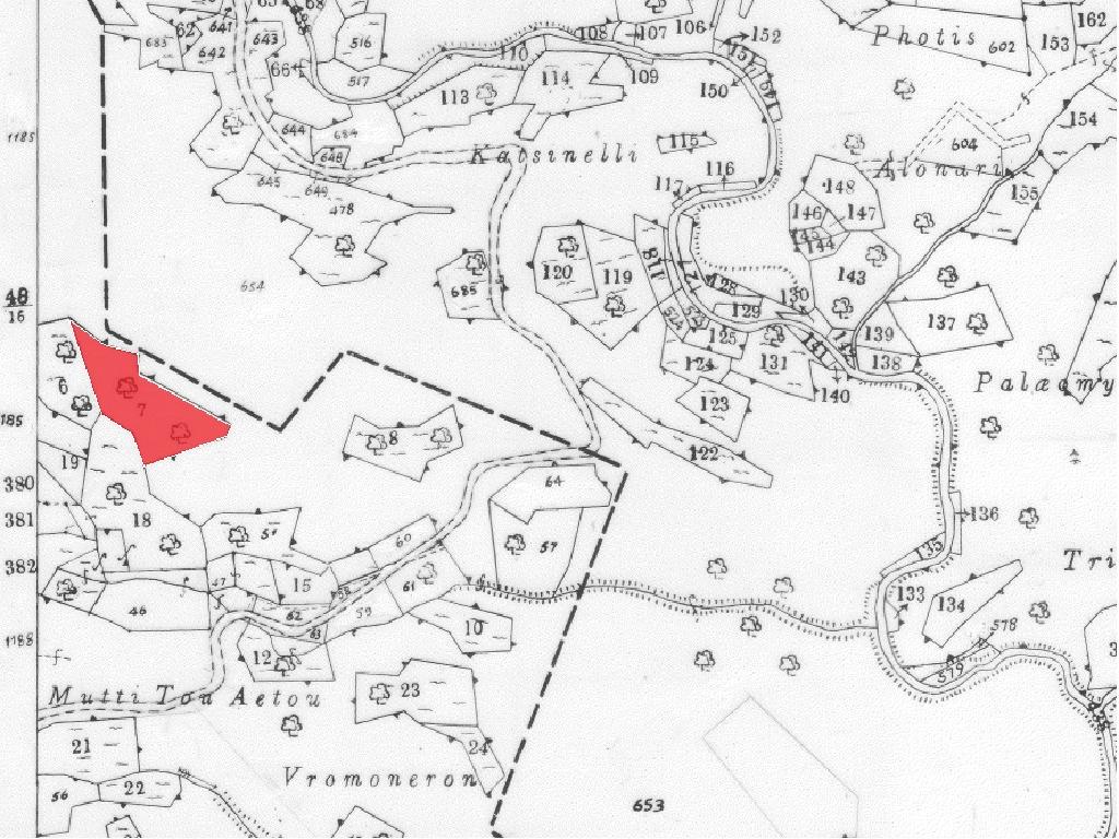 Field-Agioi Vavatsinias-PR33545