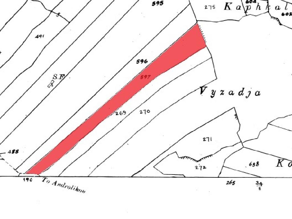 Field-New Chorio-PR33969