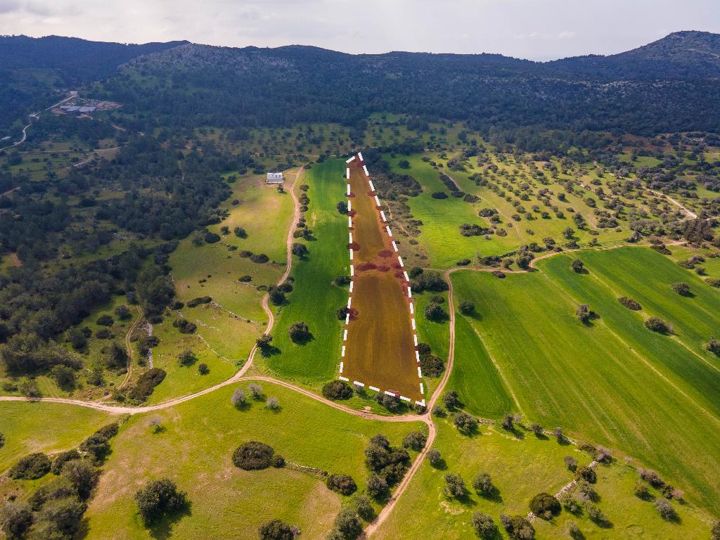 Field (Share) - Neo Chorio, Paphos