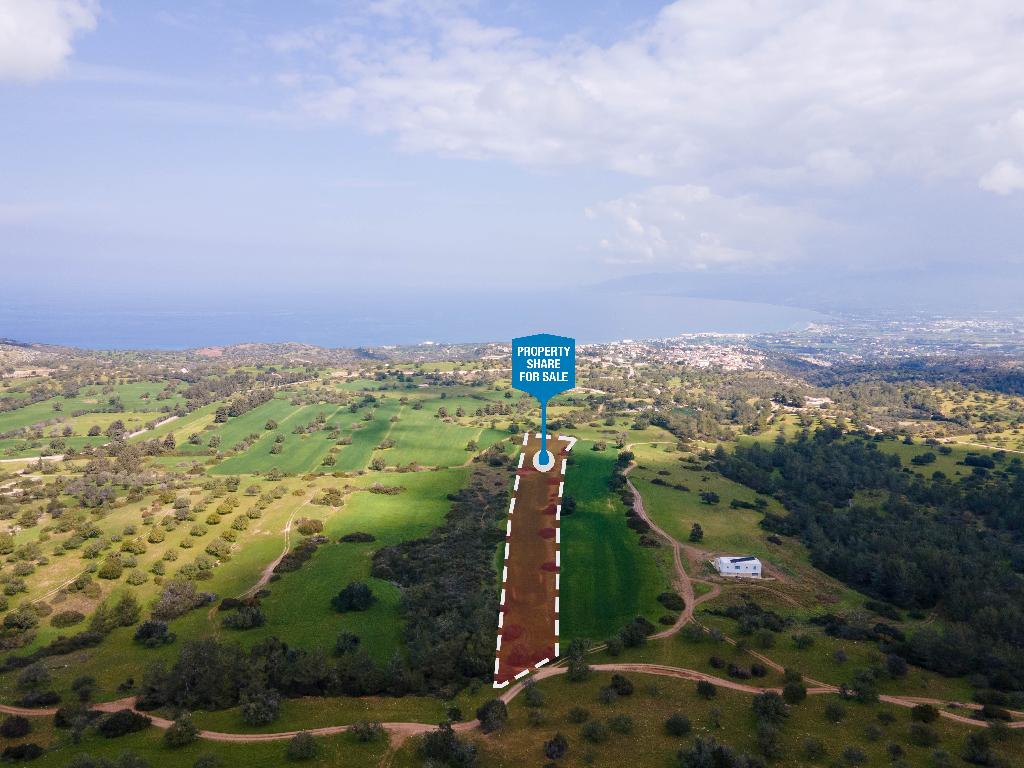 Field (Share) - Neo Chorio, Paphos