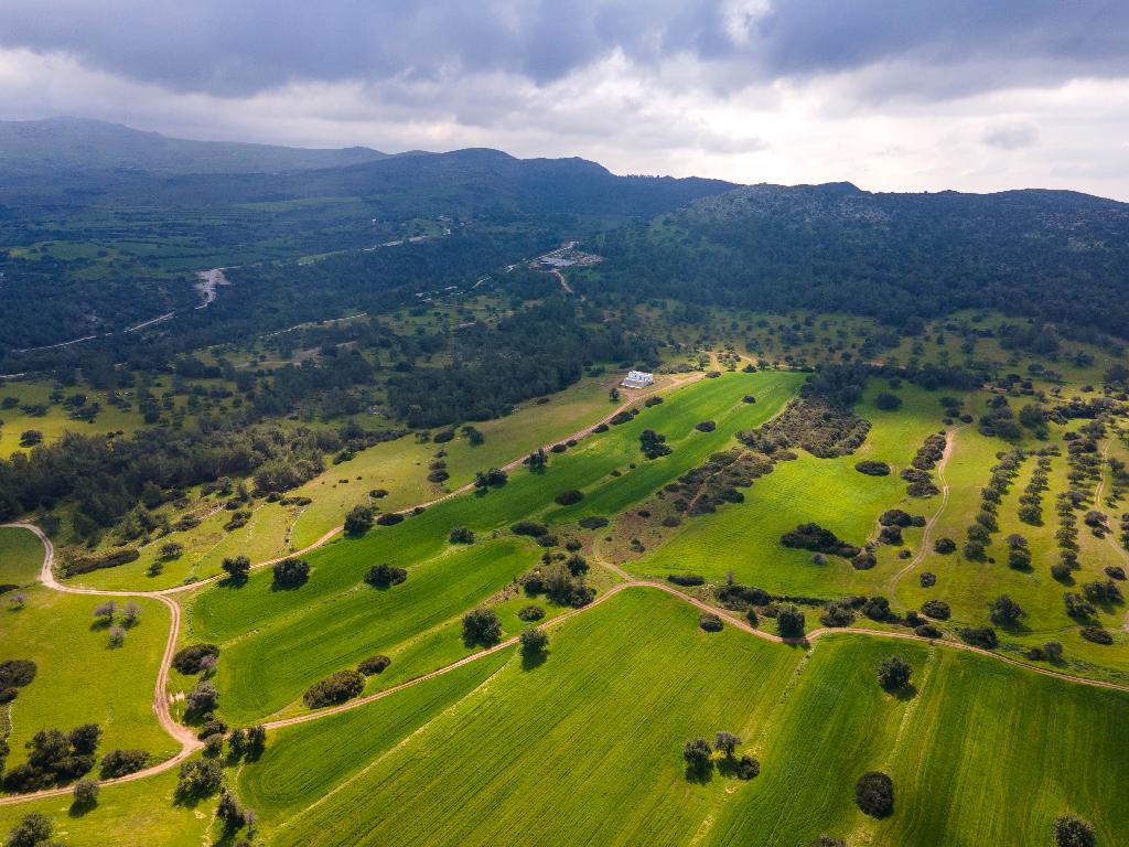 Field (Share) - Neo Chorio, Paphos