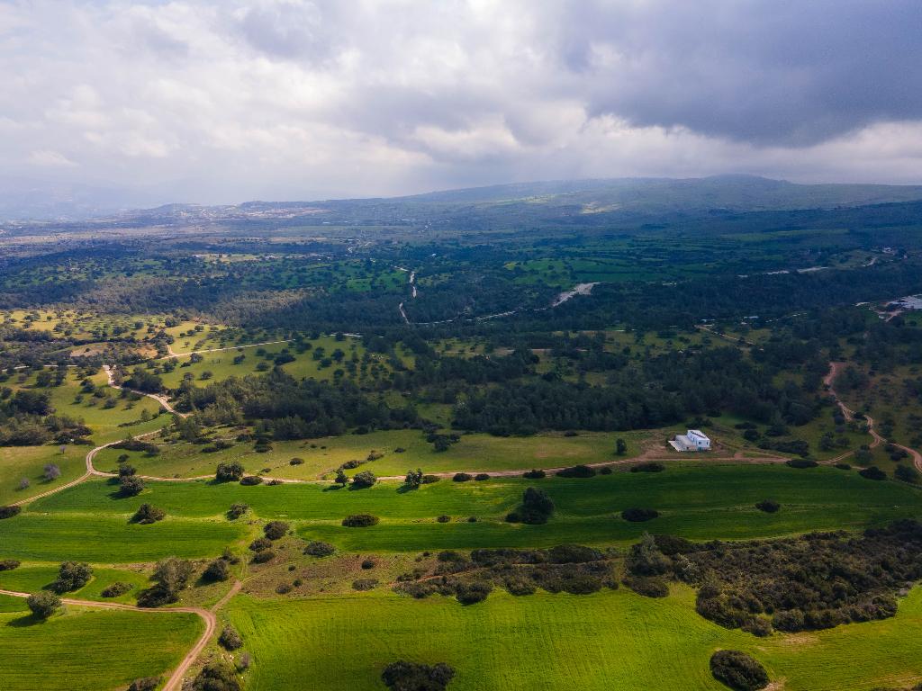 Field (Share) - Neo Chorio, Paphos