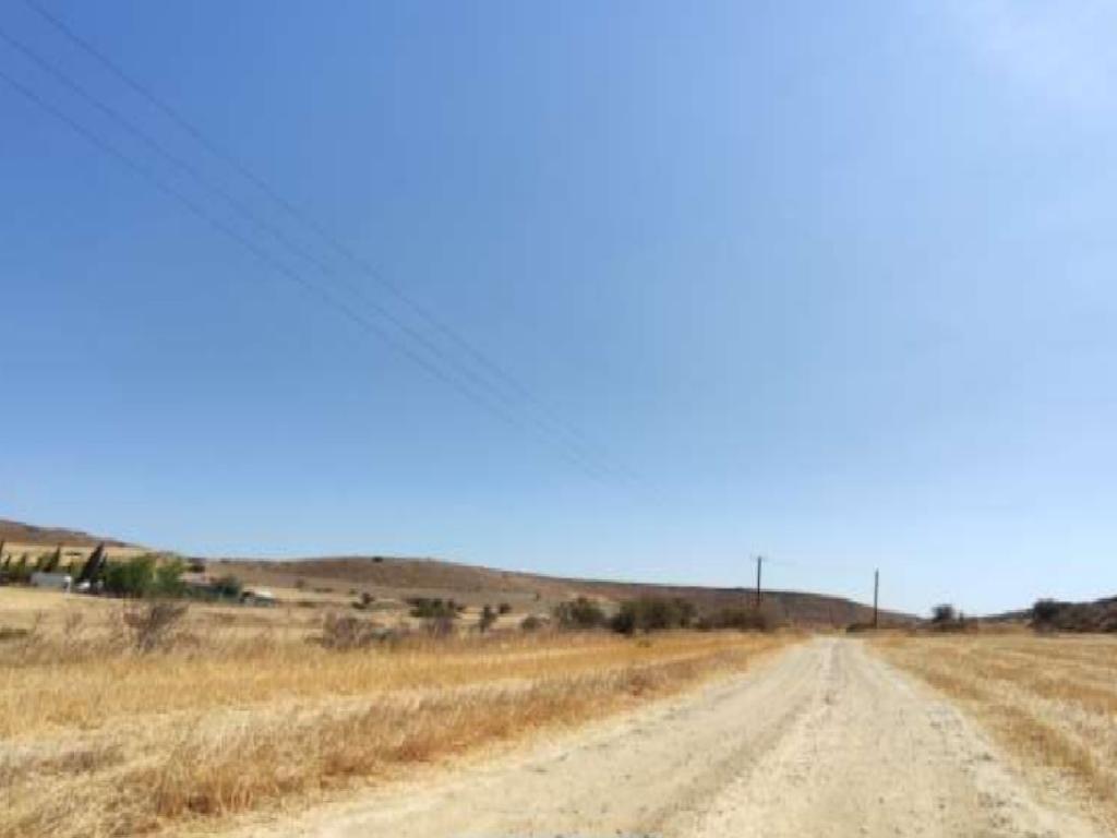 Field-Pera-PR37377
