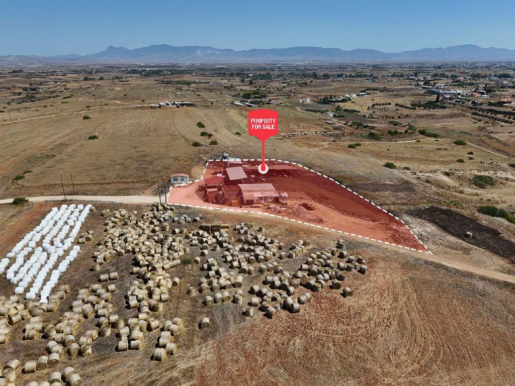 Farm - Paleometocho, Nicosia