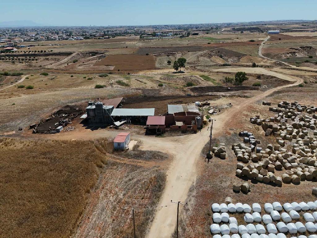 Farm - Paleometocho, Nicosia