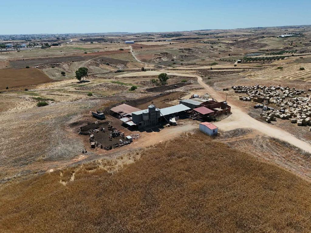 Farm - Paleometocho, Nicosia
