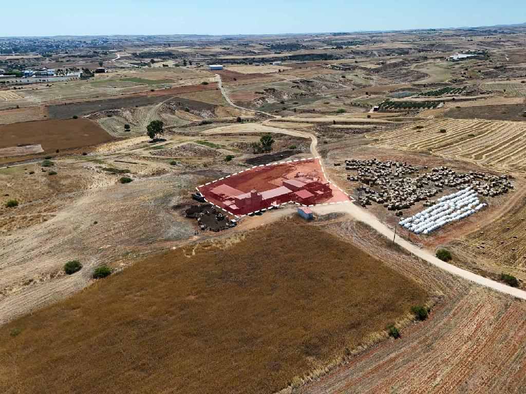 Farm - Paleometocho, Nicosia