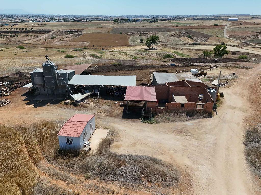 Farm - Paleometocho, Nicosia