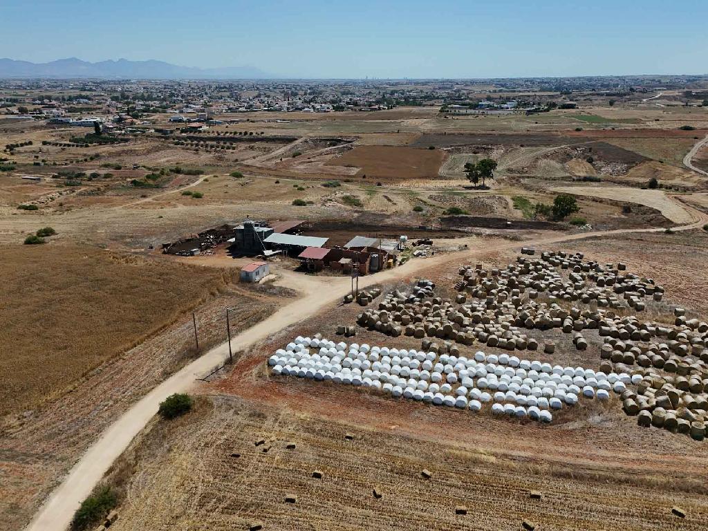 Factory-Paleometocho-PR34414