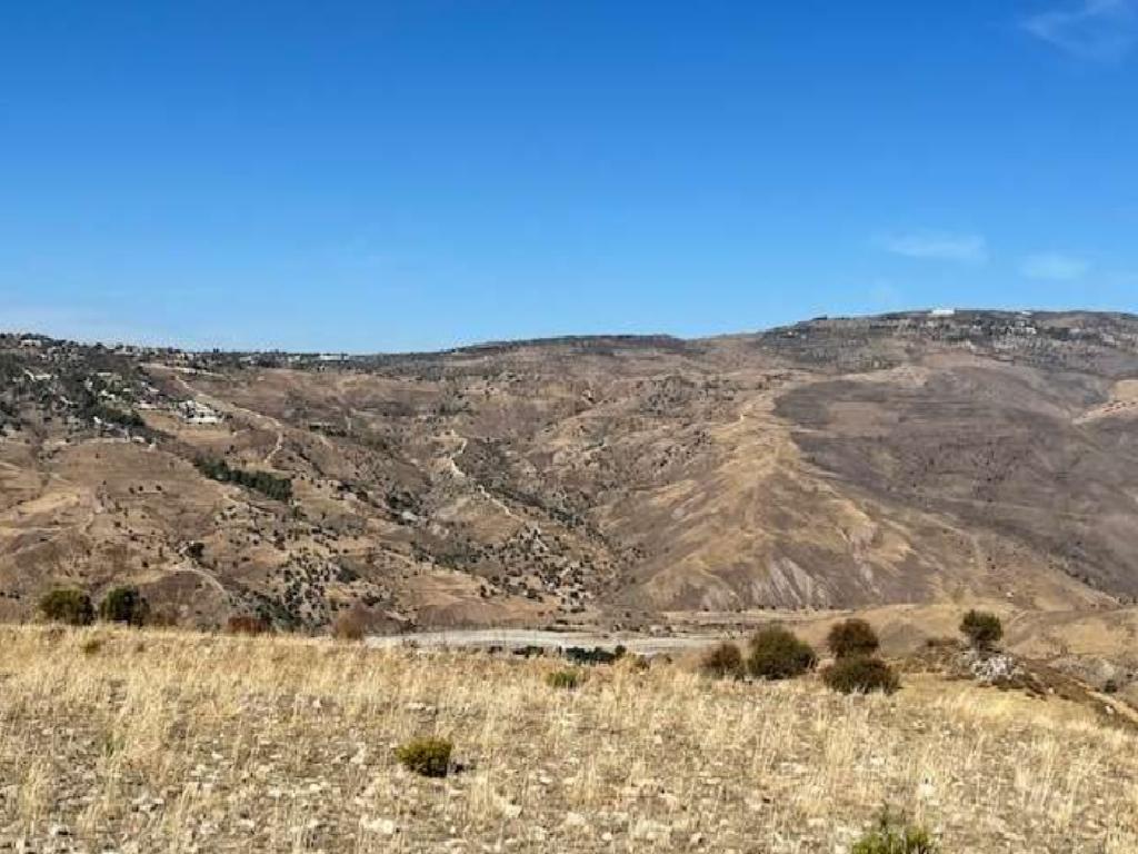 Field-Agia Marina (Kelokedaron)-PR38134