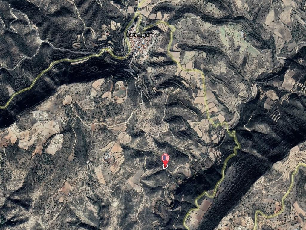 Field-Dora-PR38942