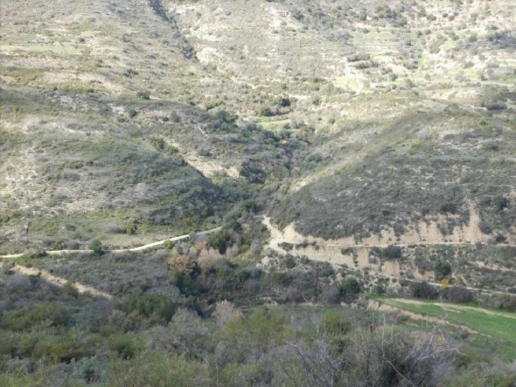 Field-Dora-PR38942