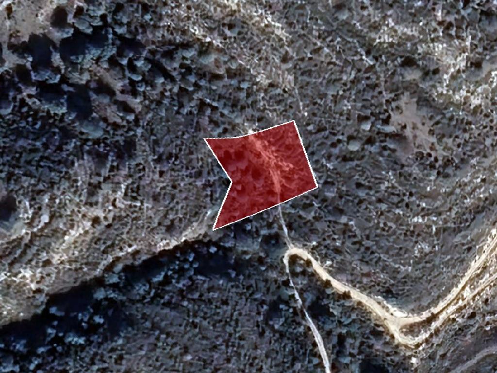 Field-Dora-PR38942