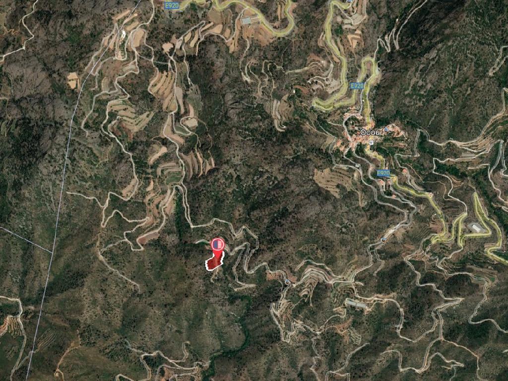Field-Odou-PR40471