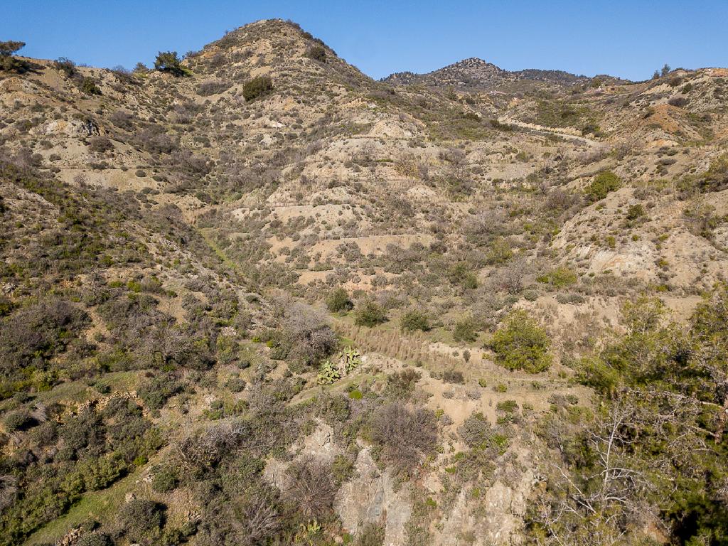 Field-Kalo Chorio-PR40609