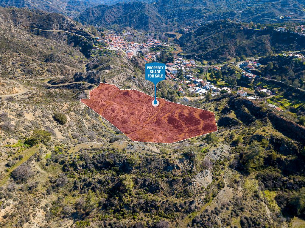 Field-Kalo Chorio-PR40609
