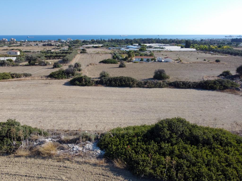 Field-Tochni-PR41393