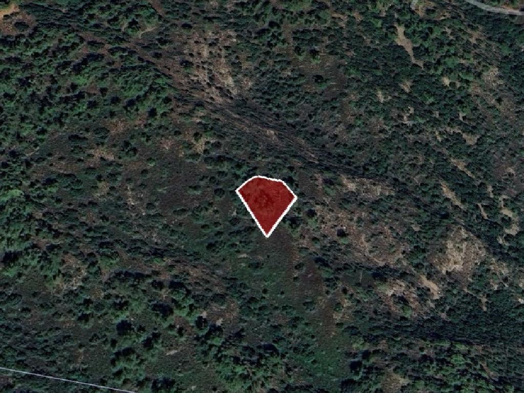 Field-Vavatsinia-PR41742