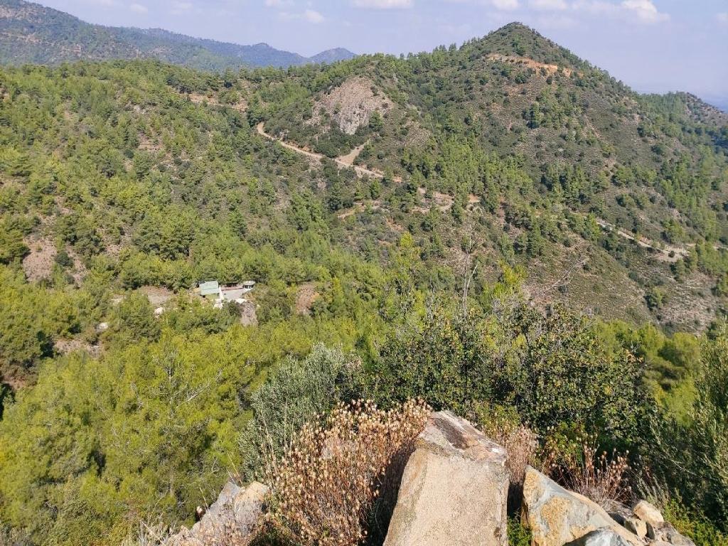 Field-Vavatsinia-PR41742
